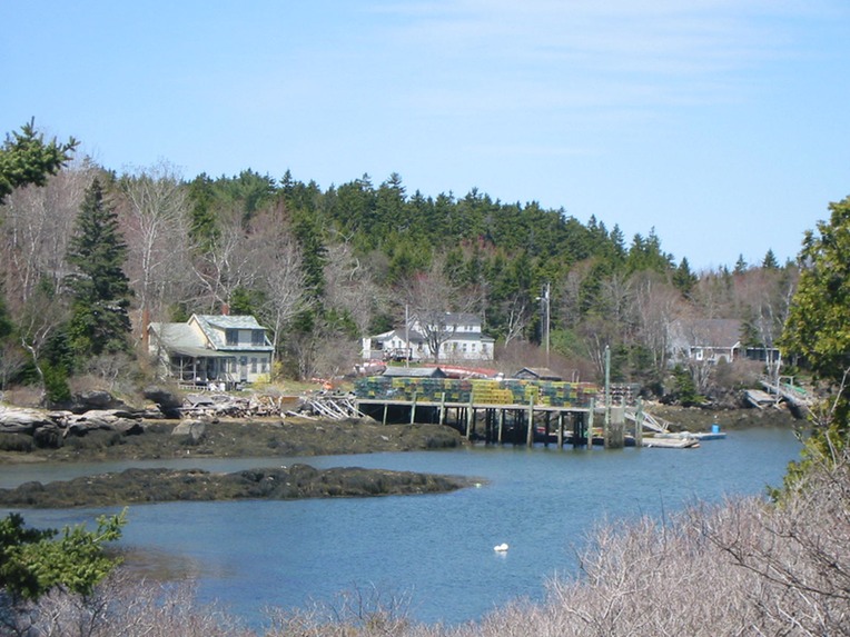 Christmas Cove at low tide off season Wild Acres
